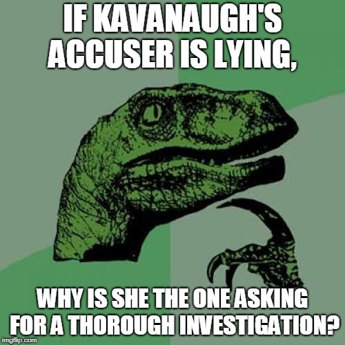 Philosoraptor Meme | IF KAVANAUGH'S ACCUSER IS LYING, WHY IS SHE THE ONE ASKING FOR A THOROUGH INVESTIGATION? | image tagged in memes,philosoraptor | made w/ Imgflip meme maker
