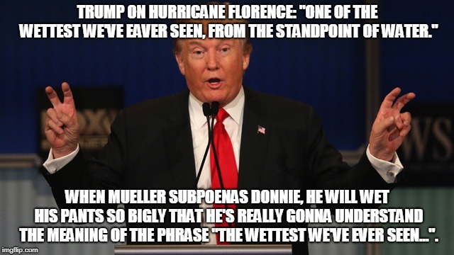Trump Air Quotes | TRUMP ON HURRICANE FLORENCE: "ONE OF THE WETTEST WE'VE EAVER SEEN, FROM THE STANDPOINT OF WATER."; WHEN MUELLER SUBPOENAS DONNIE, HE WILL WET HIS PANTS SO BIGLY THAT HE'S REALLY GONNA UNDERSTAND THE MEANING OF THE PHRASE "THE WETTEST WE'VE EVER SEEN...". | image tagged in trump air quotes | made w/ Imgflip meme maker