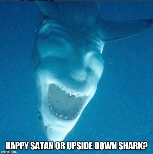 Either way it's scary af! | HAPPY SATAN OR UPSIDE DOWN SHARK? | image tagged in satan,shark,when you see it,funny,memes | made w/ Imgflip meme maker