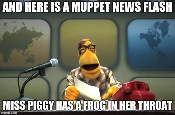 May I Have Your Attention | AND HERE IS A MUPPET NEWS FLASH; MISS PIGGY HAS A FROG IN HER THROAT | image tagged in muppet news flash | made w/ Imgflip meme maker
