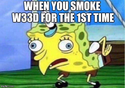 Mocking Spongebob | WHEN YOU SMOKE W33D FOR THE 1ST TIME | image tagged in memes,mocking spongebob | made w/ Imgflip meme maker