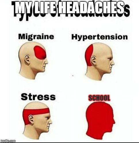 Types of Headaches meme | MY LIFE HEADACHES; SCHOOL | image tagged in types of headaches meme | made w/ Imgflip meme maker