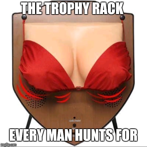 Jingle Jugs They Jiggle To The Jingle | THE TROPHY RACK; EVERY MAN HUNTS FOR | image tagged in memes,funny,hooters,boobs,hunting | made w/ Imgflip meme maker