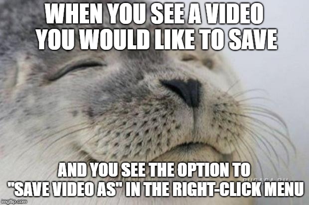Happy Seal | WHEN YOU SEE A VIDEO YOU WOULD LIKE TO SAVE; AND YOU SEE THE OPTION TO "SAVE VIDEO AS" IN THE RIGHT-CLICK MENU | image tagged in happy seal,AdviceAnimals | made w/ Imgflip meme maker