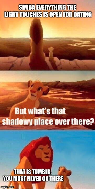 Simba Shadowy Place Meme | SIMBA EVERYTHING THE LIGHT TOUCHES IS OPEN FOR DATING; THAT IS TUMBLR. YOU MUST NEVER GO THERE | image tagged in memes,simba shadowy place | made w/ Imgflip meme maker