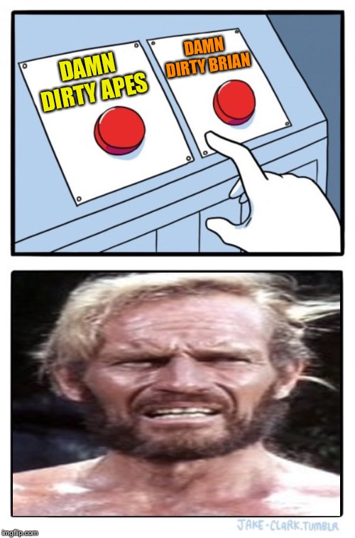 Two Buttons Meme | DAMN DIRTY APES DAMN DIRTY BRIAN | image tagged in memes,two buttons | made w/ Imgflip meme maker