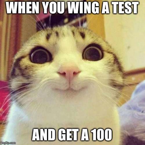 Smiling Cat Meme | WHEN YOU WING A TEST; AND GET A 100 | image tagged in memes,smiling cat | made w/ Imgflip meme maker