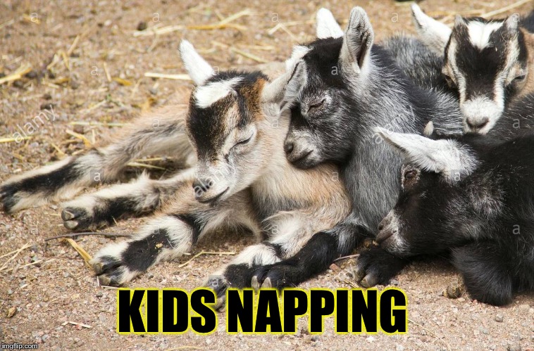 KIDS NAPPING | made w/ Imgflip meme maker