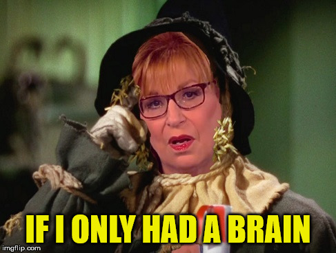 Joy Behar  | IF I ONLY HAD A BRAIN | image tagged in memes,joy behar,scarecrow,what if i told you | made w/ Imgflip meme maker