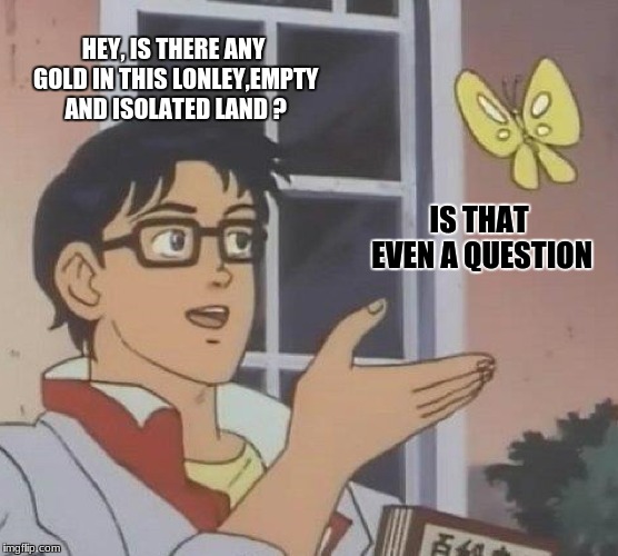 Is This A Pigeon Meme | HEY, IS THERE ANY GOLD IN THIS LONLEY,EMPTY AND ISOLATED LAND ? IS THAT EVEN A QUESTION | image tagged in memes,is this a pigeon | made w/ Imgflip meme maker