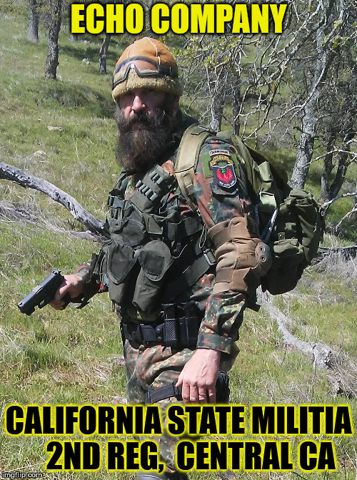 California State Militia, Echo Company | ECHO COMPANY; CALIFORNIA STATE MILITIA    2ND REG, 
CENTRAL CA | image tagged in militia,california,military,survival,constitution | made w/ Imgflip meme maker