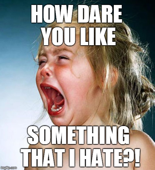 Screaming child large | HOW DARE YOU LIKE; SOMETHING THAT I HATE?! | image tagged in screaming child large | made w/ Imgflip meme maker