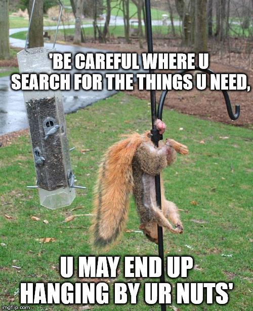 'BE CAREFUL WHERE U SEARCH FOR THE THINGS U NEED, U MAY END UP HANGING BY UR NUTS' | made w/ Imgflip meme maker