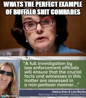 meme demo | WHATS THE PERFECT EXAMPLE OF BUFFALO SHIT COMRADES | image tagged in anonymous | made w/ Imgflip meme maker