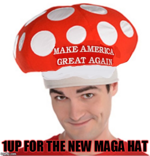 New Maga Hats! | 1UP FOR THE NEW MAGA HAT | image tagged in maga,mushroom,stormy daniels,small penis | made w/ Imgflip meme maker