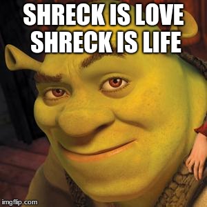 Shrek Sexy Face | SHRECK IS LOVE SHRECK IS LIFE | image tagged in shrek sexy face | made w/ Imgflip meme maker