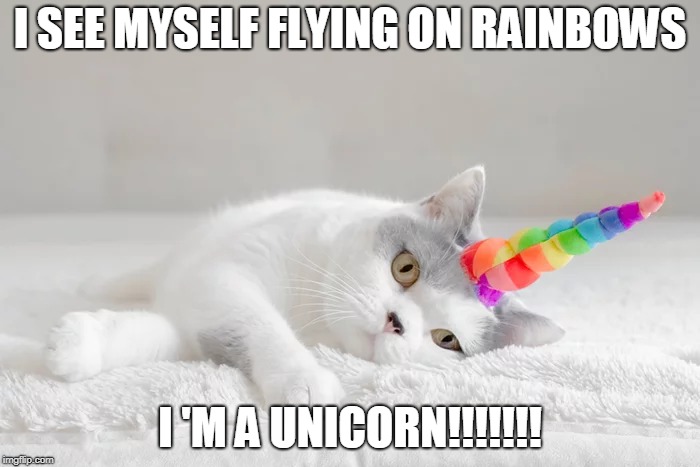 unicat | I SEE MYSELF FLYING ON RAINBOWS; I 'M A UNICORN!!!!!!! | image tagged in unicorn cat,rainbowkit | made w/ Imgflip meme maker