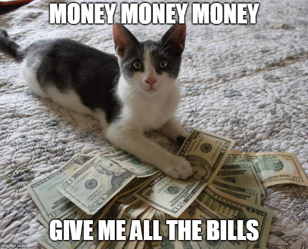 money bling cat - Imgflip