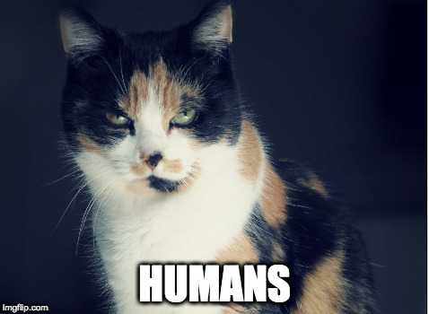 humans | HUMANS | image tagged in grumpy cat,humans,grumpy cat birthday,cat,cats,funny cats | made w/ Imgflip meme maker