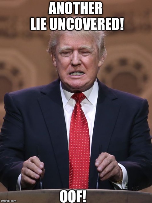 Donald Trump | ANOTHER LIE UNCOVERED! OOF! | image tagged in donald trump | made w/ Imgflip meme maker