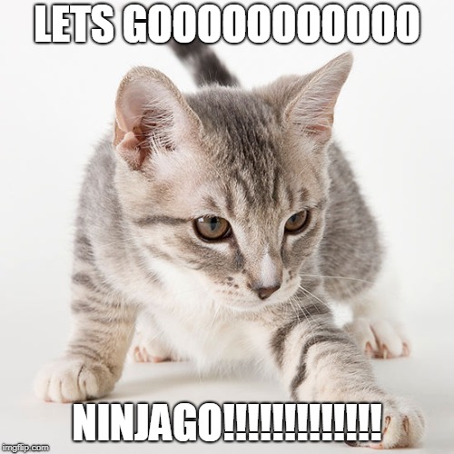 ninjago cat | LETS GOOOOOOOOOOO; NINJAGO!!!!!!!!!!!!! | image tagged in ninjago,cat ninja | made w/ Imgflip meme maker