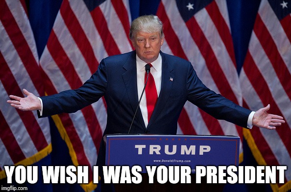 Donald Trump | YOU WISH I WAS YOUR PRESIDENT | image tagged in donald trump | made w/ Imgflip meme maker