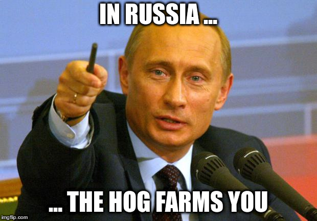 Good Guy Putin Meme | IN RUSSIA ... ... THE HOG FARMS YOU | image tagged in memes,good guy putin | made w/ Imgflip meme maker