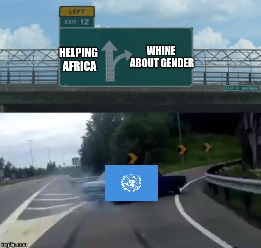 Left Exit 12 Off Ramp Meme | WHINE ABOUT GENDER; HELPING AFRICA | image tagged in memes,left exit 12 off ramp | made w/ Imgflip meme maker