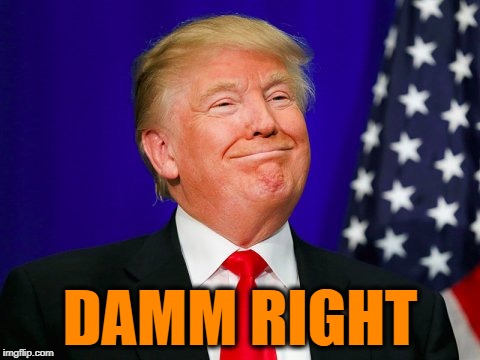 Trump Smile | DAMM RIGHT | image tagged in trump smile | made w/ Imgflip meme maker