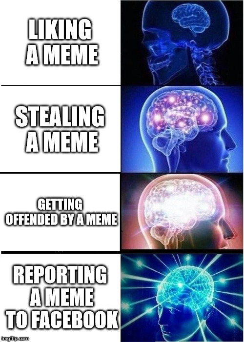 Expanding Brain | LIKING A MEME; STEALING A MEME; GETTING OFFENDED BY A MEME; REPORTING A MEME TO FACEBOOK | image tagged in memes,expanding brain | made w/ Imgflip meme maker