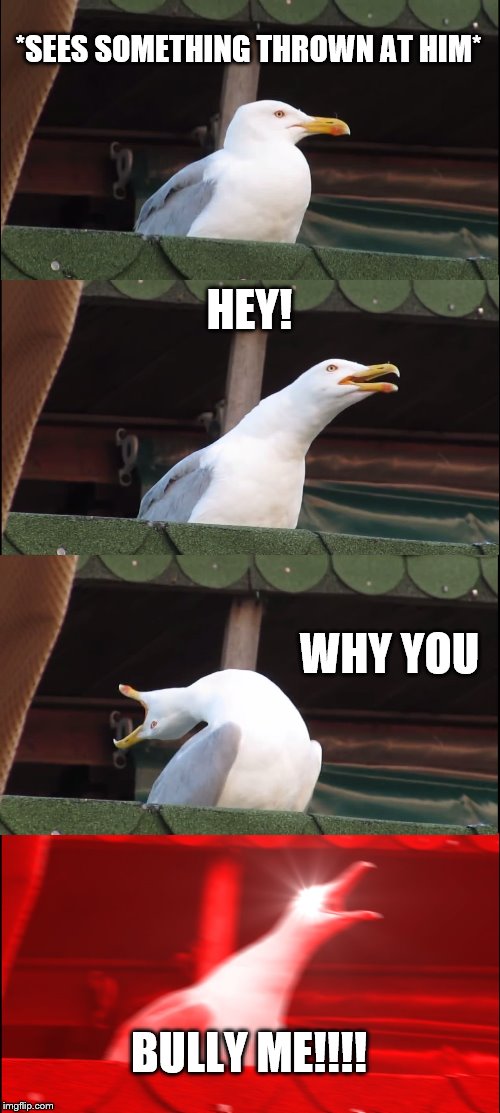 Inhaling Seagull Meme | *SEES SOMETHING THROWN AT HIM*; HEY! WHY YOU; BULLY ME!!!! | image tagged in memes,inhaling seagull | made w/ Imgflip meme maker