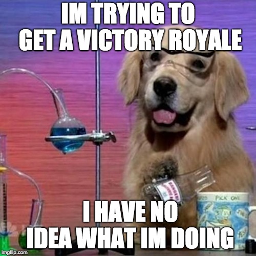 I Have No Idea What I Am Doing Dog | IM TRYING TO GET A VICTORY ROYALE; I HAVE NO IDEA WHAT IM DOING | image tagged in memes,i have no idea what i am doing dog | made w/ Imgflip meme maker