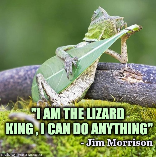 lizard guitar | "I AM THE LIZARD KING , I CAN DO ANYTHING" - Jim Morrison | image tagged in lizard guitar | made w/ Imgflip meme maker