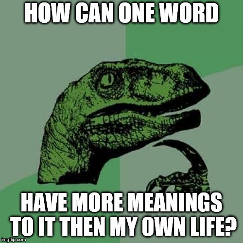 Philosoraptor | HOW CAN ONE WORD; HAVE MORE MEANINGS TO IT THEN MY OWN LIFE? | image tagged in memes,philosoraptor | made w/ Imgflip meme maker