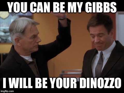 Gibbs slaps dinozo | YOU CAN BE MY GIBBS; I WILL BE YOUR DINOZZO | image tagged in gibbs slaps dinozo | made w/ Imgflip meme maker