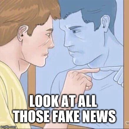Pointing mirror guy | LOOK AT ALL THOSE FAKE NEWS | image tagged in pointing mirror guy | made w/ Imgflip meme maker