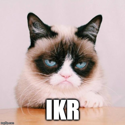grumpy cat again | IKR | image tagged in grumpy cat again | made w/ Imgflip meme maker