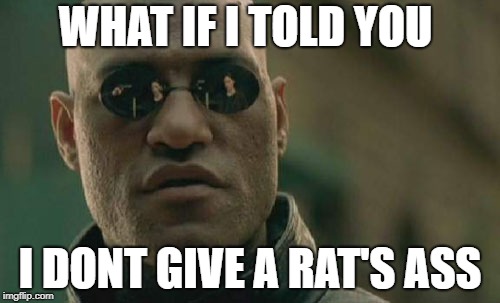 Matrix Morpheus | WHAT IF I TOLD YOU; I DONT GIVE A RAT'S ASS | image tagged in memes,matrix morpheus | made w/ Imgflip meme maker