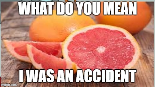 WHAT DO YOU MEAN; I WAS AN ACCIDENT | made w/ Imgflip meme maker