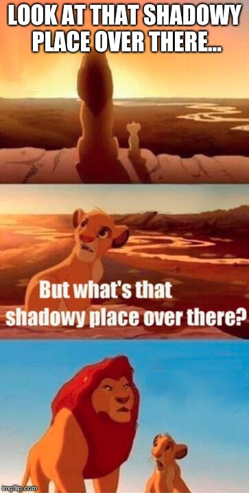 Simba Shadowy Place Meme | LOOK AT THAT SHADOWY PLACE OVER THERE... | image tagged in memes,simba shadowy place | made w/ Imgflip meme maker