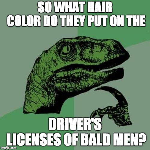 Philosoraptor Meme | SO WHAT HAIR COLOR DO THEY PUT ON THE; DRIVER'S LICENSES OF BALD MEN? | image tagged in memes,philosoraptor | made w/ Imgflip meme maker