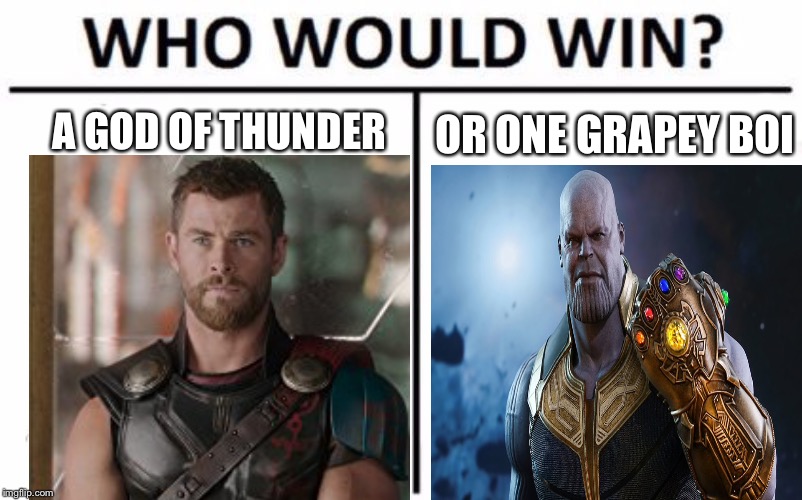 Who Would Win? Meme | OR ONE GRAPEY BOI; A GOD OF THUNDER | image tagged in memes,who would win | made w/ Imgflip meme maker