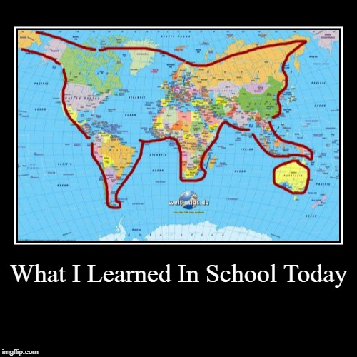 Cat playing with australia | What I Learned In School Today | | image tagged in funny,demotivationals | made w/ Imgflip demotivational maker