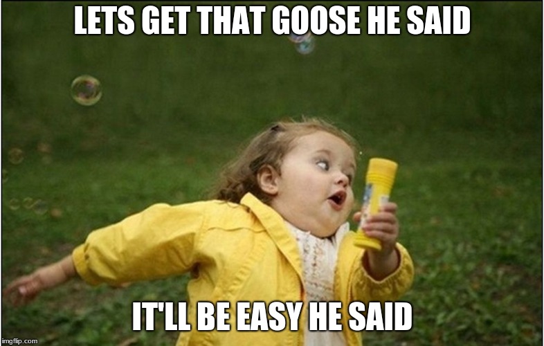 Little Girl Running Away | LETS GET THAT GOOSE HE SAID; IT'LL BE EASY HE SAID | image tagged in little girl running away | made w/ Imgflip meme maker