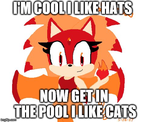 Sinea the bat | I'M COOL I LIKE HATS; NOW GET IN THE POOL I LIKE CATS | image tagged in funny | made w/ Imgflip meme maker