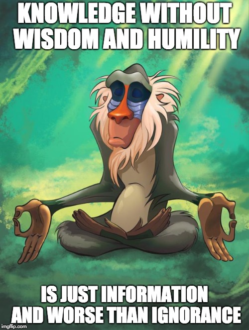 Rafiki wisdom | KNOWLEDGE WITHOUT WISDOM AND HUMILITY; IS JUST INFORMATION AND WORSE THAN IGNORANCE | image tagged in rafiki wisdom | made w/ Imgflip meme maker