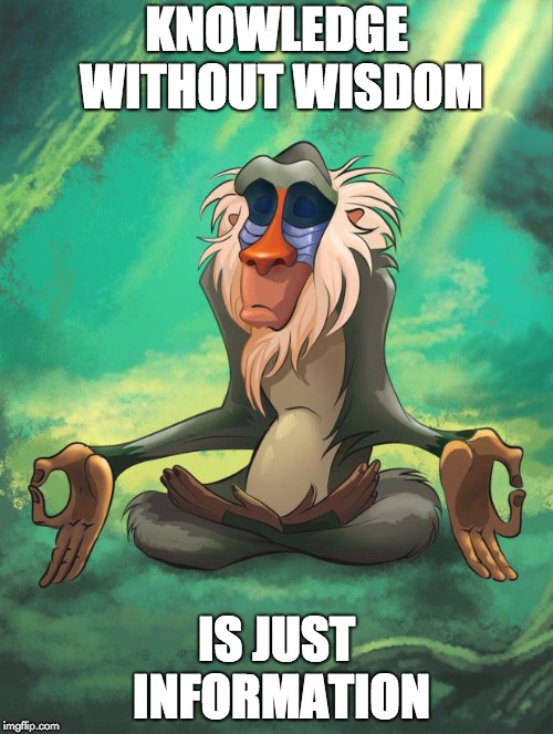 Rafiki wisdom | KNOWLEDGE WITHOUT WISDOM; IS JUST INFORMATION | image tagged in rafiki wisdom | made w/ Imgflip meme maker