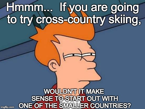 Futurama Fry Meme | Hmmm...  If you are going to try cross-country skiing, WOULDN'T IT MAKE SENSE TO START OUT WITH ONE OF THE SMALLER COUNTRIES? | image tagged in memes,futurama fry | made w/ Imgflip meme maker