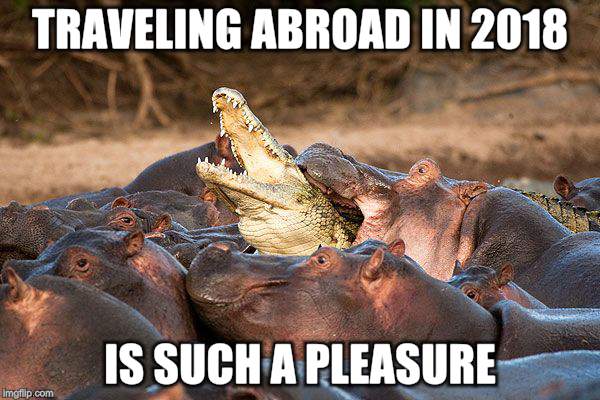 Outnumbered Again | TRAVELING ABROAD IN 2018; IS SUCH A PLEASURE | image tagged in memes,animals,funny animals | made w/ Imgflip meme maker