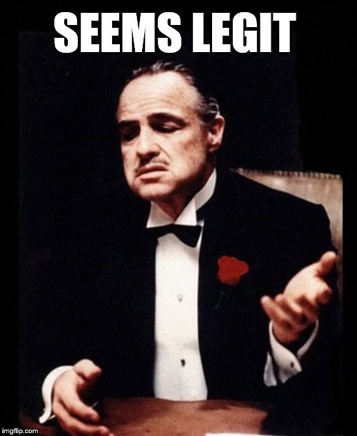 mafia don corleone | SEEMS LEGIT | image tagged in mafia don corleone | made w/ Imgflip meme maker